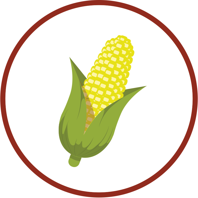 How To Make Bourbon Ingredients Corn